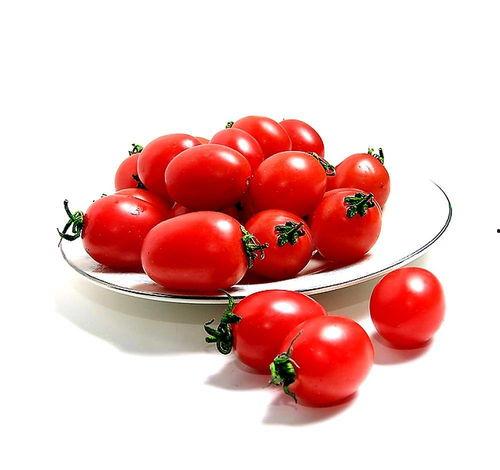 网红西红柿三姐妹图片