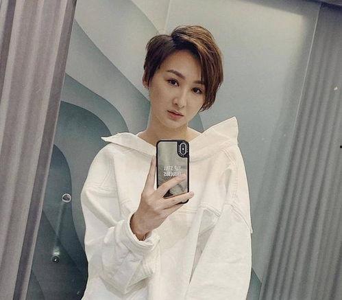 香港娱乐圈发型,香港娱乐圈发型演变解析