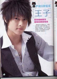 王子资料,传奇人生与璀璨成就的璀璨篇章