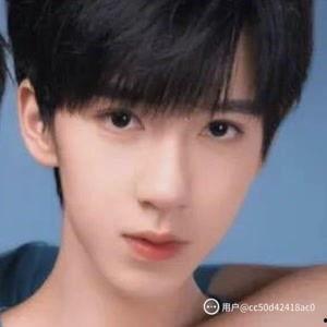 带霖的明星,带霖明星的璀璨时刻